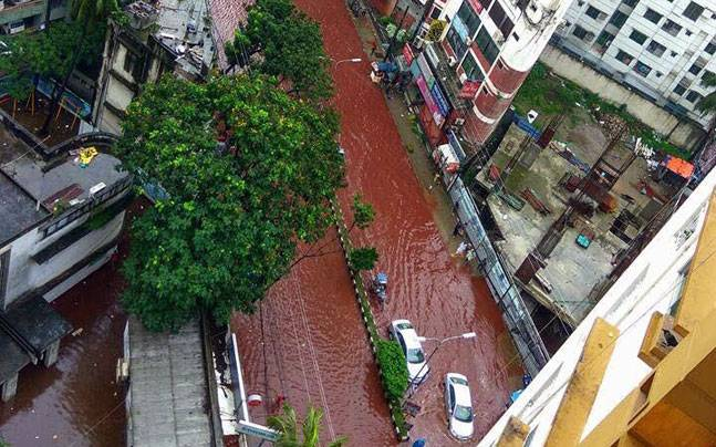 Bloody Streets during Eid