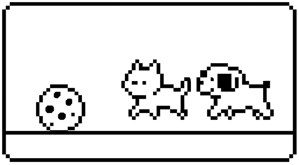 Cookie, cat and dog. 